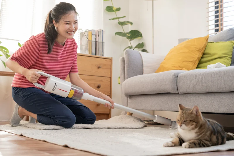 Household Chores & Cooking