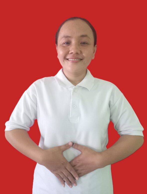 Sularmi